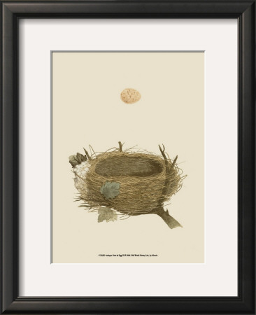 Antique Nest And Egg Ii by Reverend Francis O. Morris Pricing Limited Edition Print image
