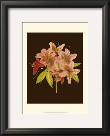 Crimson Blooms Ii by Samuel Curtis Pricing Limited Edition Print image