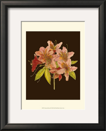 Crimson Blooms Ii by Samuel Curtis Pricing Limited Edition Print image