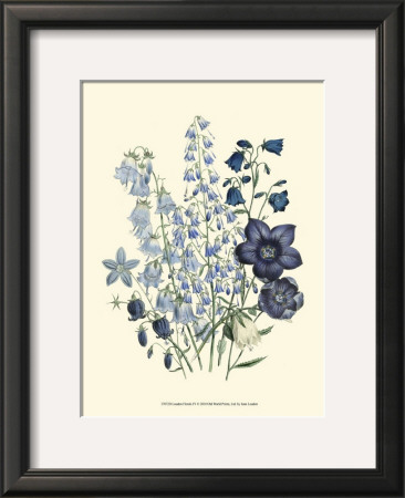Loudon Florals Iv by Jane Loudon Pricing Limited Edition Print image