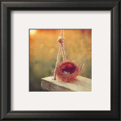 Swing And Nest by Mandy Lynne Pricing Limited Edition Print image