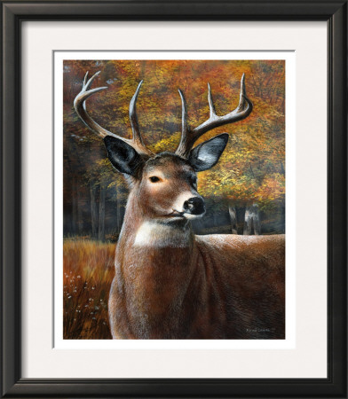 Deer Head Ii by Kevin Daniel Pricing Limited Edition Print image
