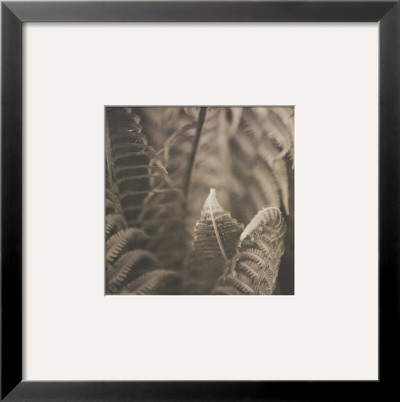 Moonglow Ii by Heather Johnston Pricing Limited Edition Print image