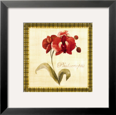 Phalaenopsis by Yuna Pricing Limited Edition Print image