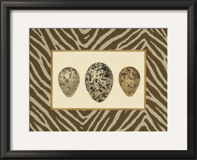 Speckeled Variety Ii by Henry Adams Pricing Limited Edition Print image