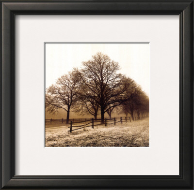 Row Of Trees by Harold Silverman Pricing Limited Edition Print image