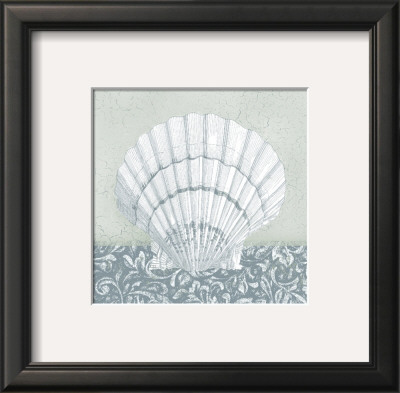 Coastal Cottage Shell I by Krissi Pricing Limited Edition Print image