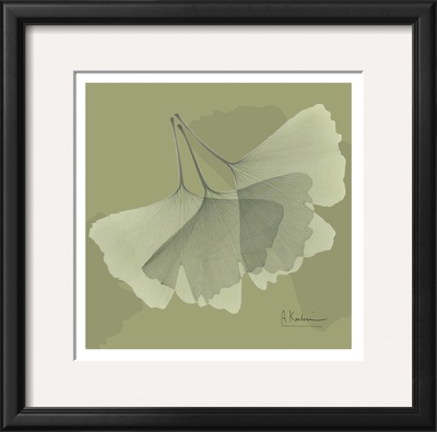 Color Me Ginko Green Ii by Albert Koetsier Pricing Limited Edition Print image