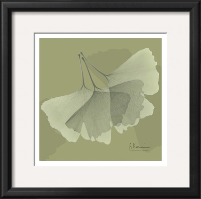 Color Me Ginko Green Ii by Albert Koetsier Pricing Limited Edition Print image