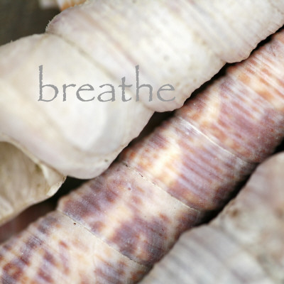 Breathe by Nicole Katano Pricing Limited Edition Print image