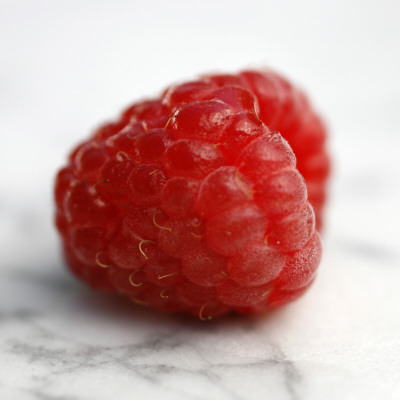 Red Raspberry by Nicole Katano Pricing Limited Edition Print image