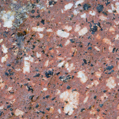 Close Up Of Granite Rock, Scotland, Uk by Niall Benvie Pricing Limited Edition Print image