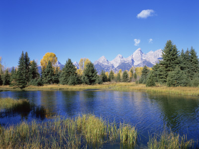 Snake River And Autumn Woodland, With Grand Tetons Behind, Grand Teton National Park, Wyoming, Usa by Pete Cairns Pricing Limited Edition Print image