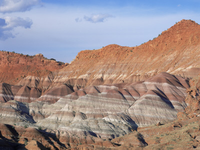 Sandstone Formations Near Paria Canyon, Utah, Usa by David Welling Pricing Limited Edition Print image