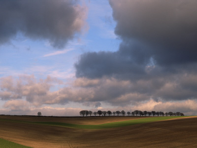 Clouds Over Cultivated South Downs, Hampshire, With A Line Of Trees On The Horizon by Adam Burton Pricing Limited Edition Print image