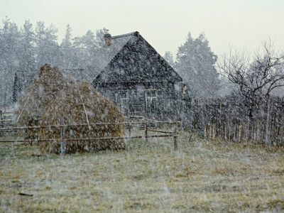 Snow Falling On Timbered House With Haystacks, Chukhrai, Bryansk Province by Igor Shpilenok Pricing Limited Edition Print image