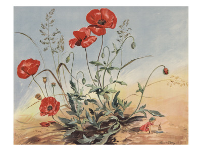 The Elf And The Poppy by Eileen Soper Pricing Limited Edition Print image
