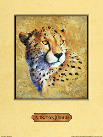 Cheetah by Nancy Azneer Pricing Limited Edition Print image