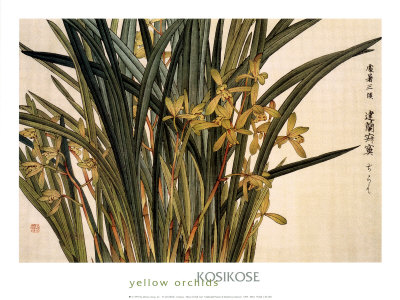 Yellow Orchids by Kosikose Pricing Limited Edition Print image