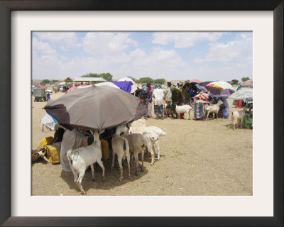 Somaliland Women With Their Goats Protect Themselves From Hot Sun With Umbrellas by Sayyid Azim Pricing Limited Edition Print image