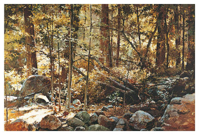 Sunlit Forest, Yosemite by Jerome Grimmer Pricing Limited Edition Print image