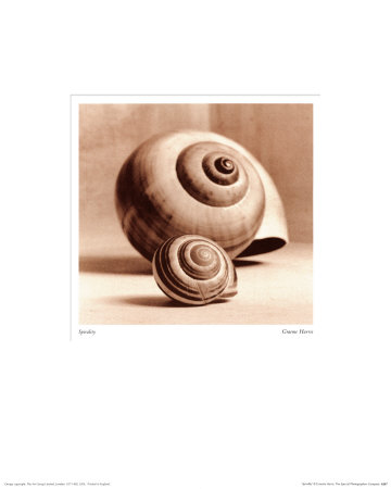 Spirality by Graeme Harris Pricing Limited Edition Print image