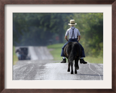 With A Buggy Approaching In The Distance, An Amish Boy Heads Down A Country Road On His Pony by Amy Sancetta Pricing Limited Edition Print image