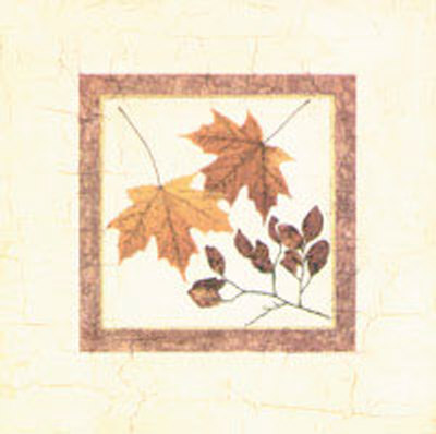 Leaf Study I by Tina Chaden Pricing Limited Edition Print image