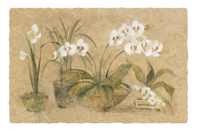 Four Potted Orchids by Cheri Blum Pricing Limited Edition Print image
