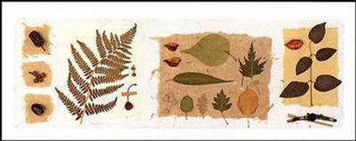 Leaf Collage I by Carol Robinson Pricing Limited Edition Print image