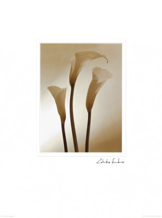 Calle by Edoardo Sardano Pricing Limited Edition Print image