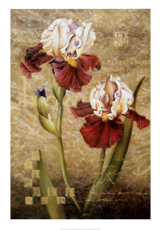 Grand Irises by Fangyu Meng Pricing Limited Edition Print image