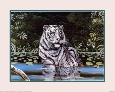 Wading White Tiger by Gary Ampel Pricing Limited Edition Print image