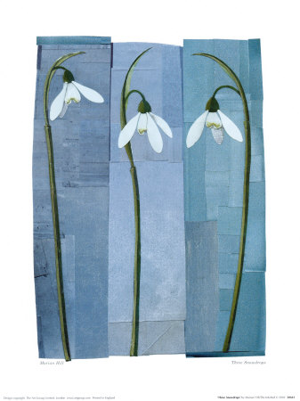 Three Snowdrops by Marian Hill Pricing Limited Edition Print image