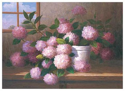 Hydrangea Blossoms I by Welby Pricing Limited Edition Print image