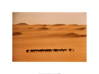 Camel Train, Mauritania by Barbara Maurer Pricing Limited Edition Print image