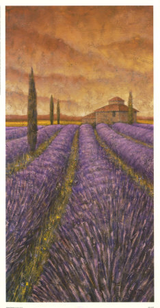 Soleil De Provence I by Stephen Mitchell Pricing Limited Edition Print image