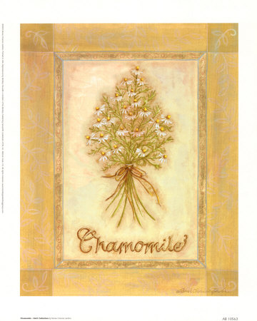 Chamomile, Herb Collection by Renee Charisse Jardine Pricing Limited Edition Print image
