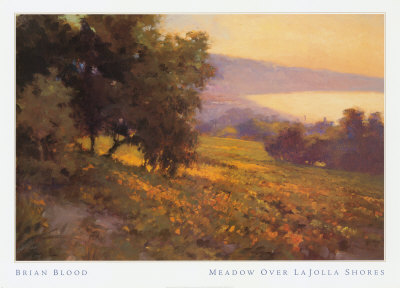 Meadow Over La Jolla Shores by Brian Blood Pricing Limited Edition Print image