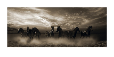 Wild Stampede by Malcolm Sanders Pricing Limited Edition Print image