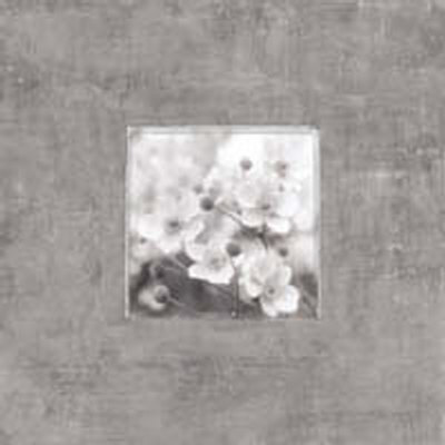Dogwood On Pewter by Claire Beaumont Pricing Limited Edition Print image