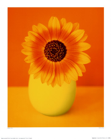 Sunny Day by Masao Ota Pricing Limited Edition Print image