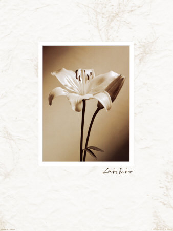 Black And White Iii by Edoardo Sardano Pricing Limited Edition Print image