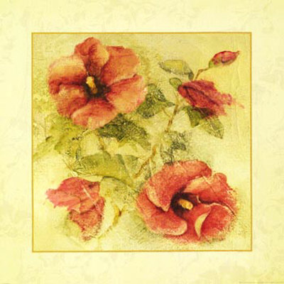 Soft Hibiscus Ii by Cheri Blum Pricing Limited Edition Print image