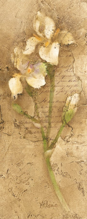 Iris Letters Ii by Albena Hristova Pricing Limited Edition Print image