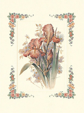 Pink Iris by T. C. Chiu Pricing Limited Edition Print image