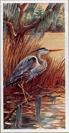 Bayou Heron Ii by Rose Cravens Pricing Limited Edition Print image