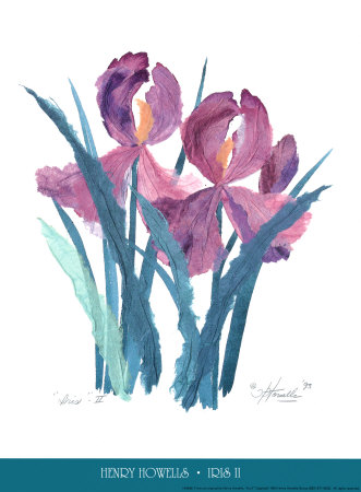 Iris Ii by Henry Howells Pricing Limited Edition Print image