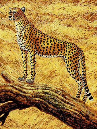 Guepard by Jean Carriere Pricing Limited Edition Print image