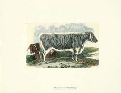 Lancashire Cows Ii by Sydenham Teast Edwards Pricing Limited Edition Print image
